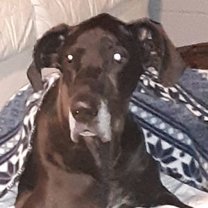 Meet your Posher, Timothy